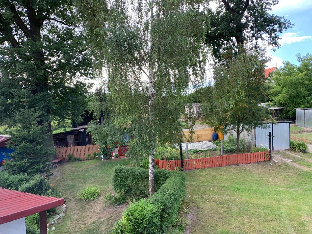 Apartament Dwa Deby Bozkow Exterior photo